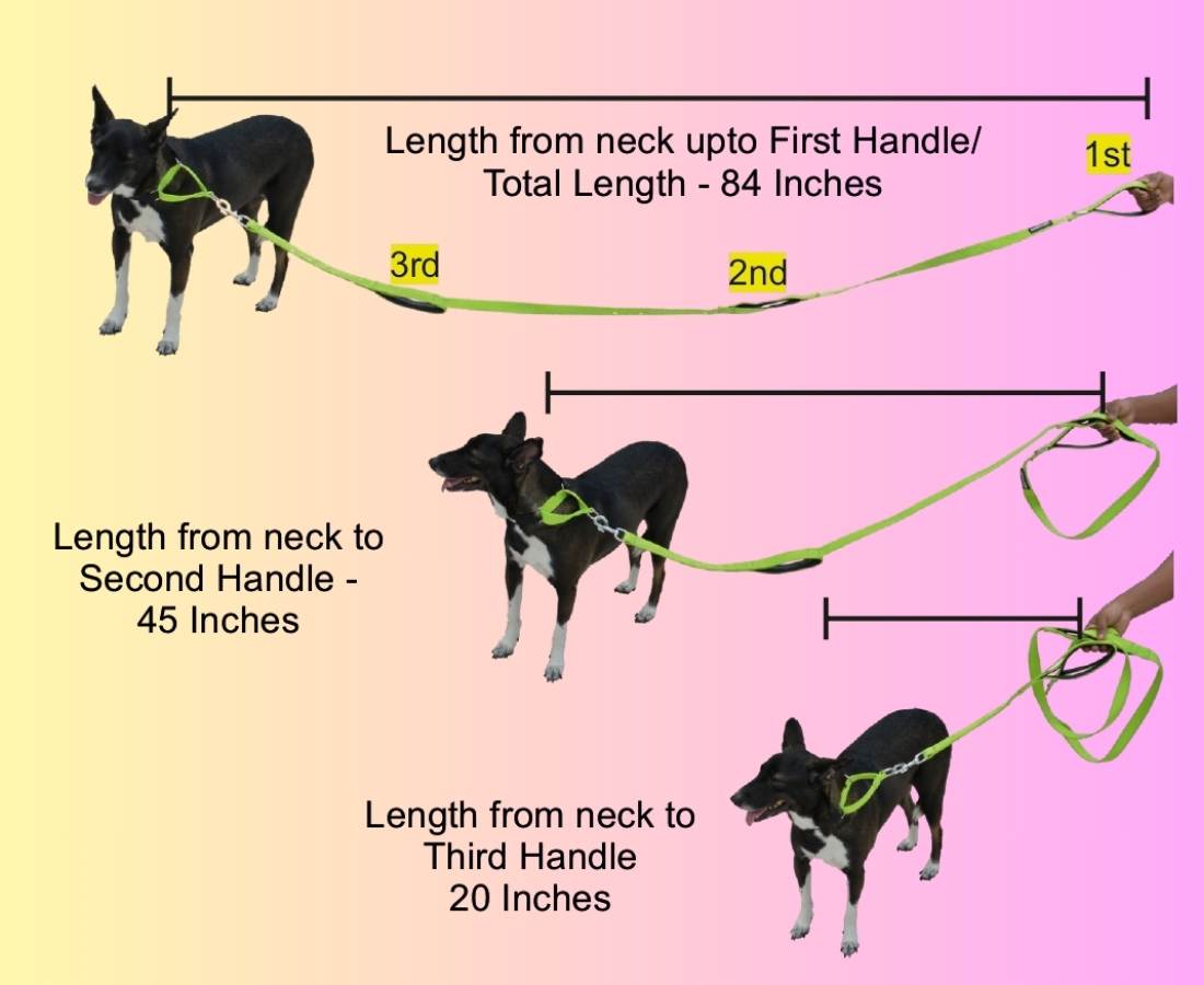 Long Leash for Pets, Dog Leash Online