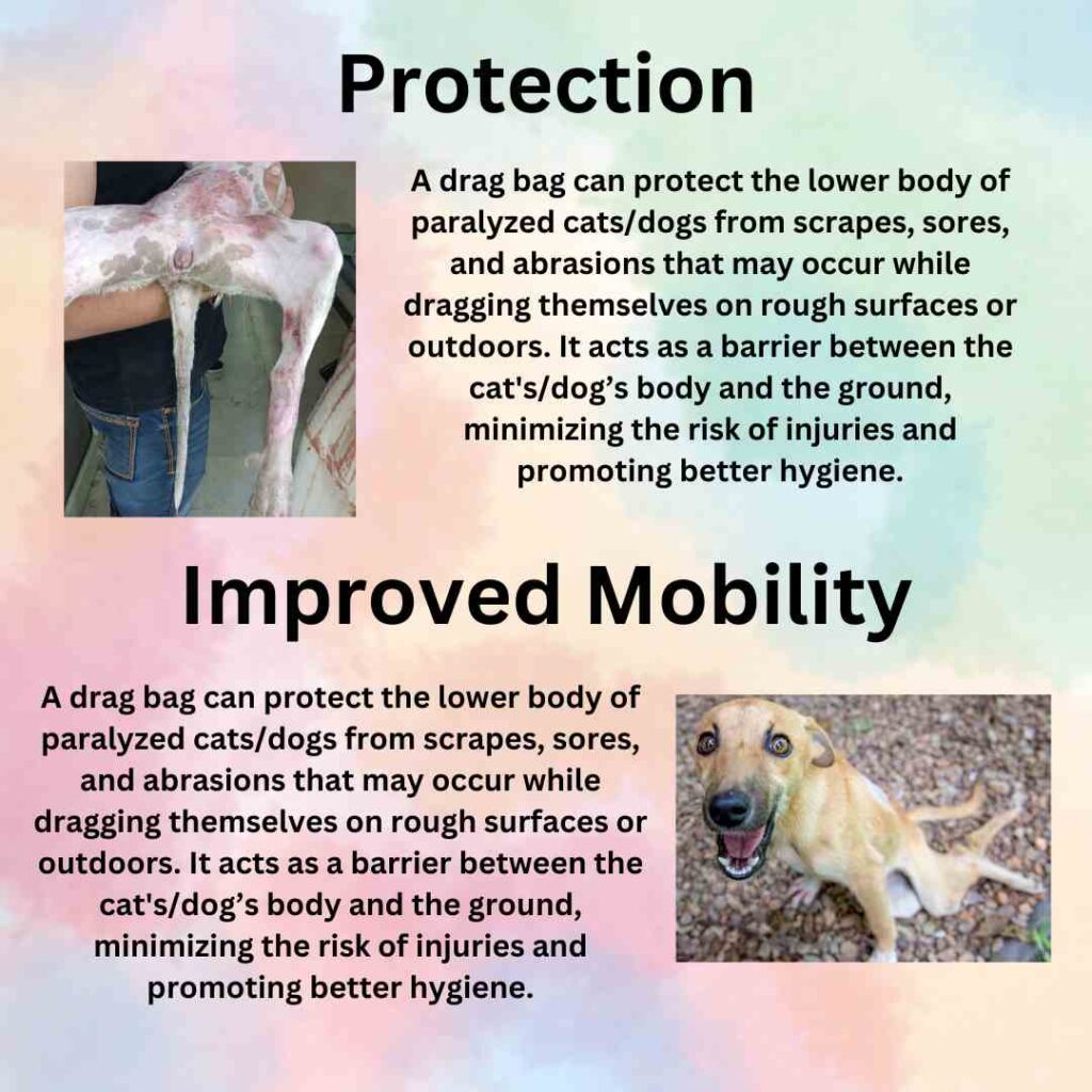 Drag bag Drag bag for paralyzed dog Drag bag for cat