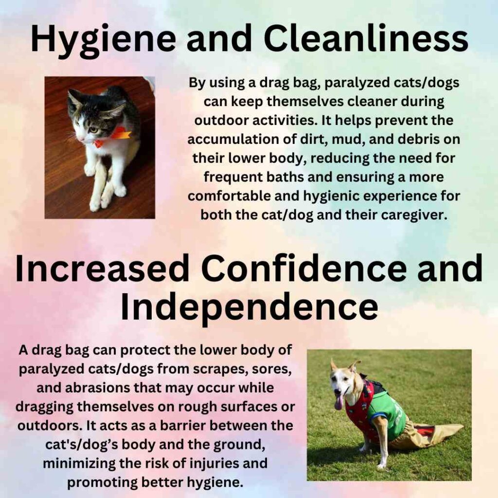 Drag bag Drag bag for paralyzed dog Drag bag for cat