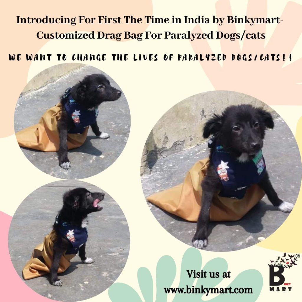 Drag bag Drag bag for paralyzed dog Drag bag for cat