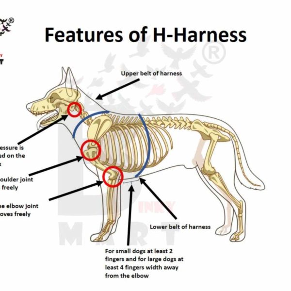 H harness hot sale dog