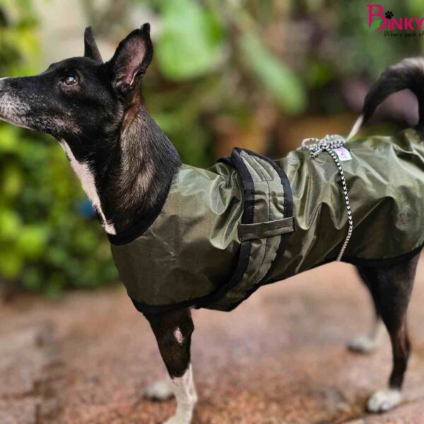 Binkymart Olive Green Water-Resistant Winter Coat