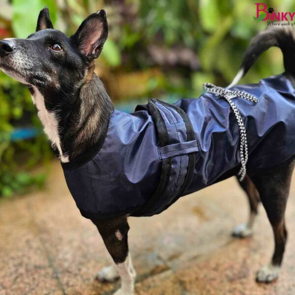 Binkymart Blue Water-Resistant Winter Coat