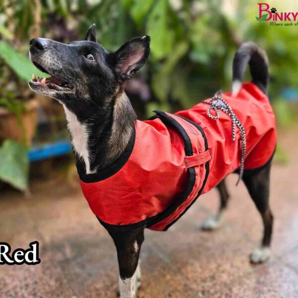 Binkymart Water-Resistant Winter Coat