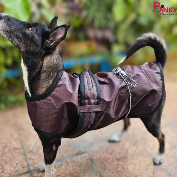 Binkymart Brown Water-Resistant Winter Coat