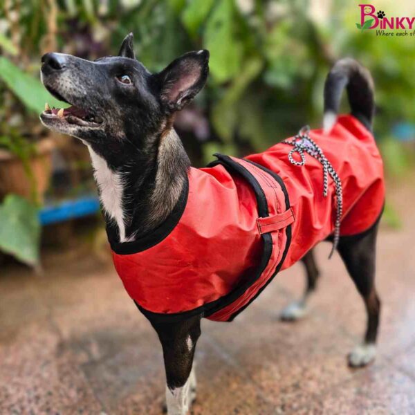 Binkymart Red Water-Resistant Winter Coat