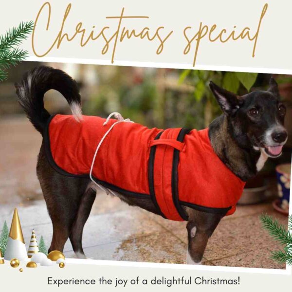 Binkymart Red Velvet Winter Coat