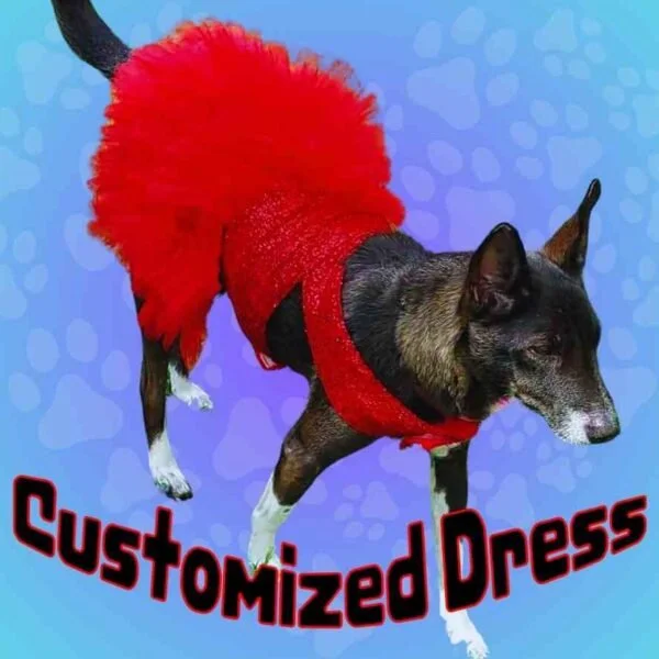 Frock & Gown