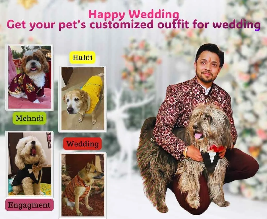 Wedding dress for male mobile