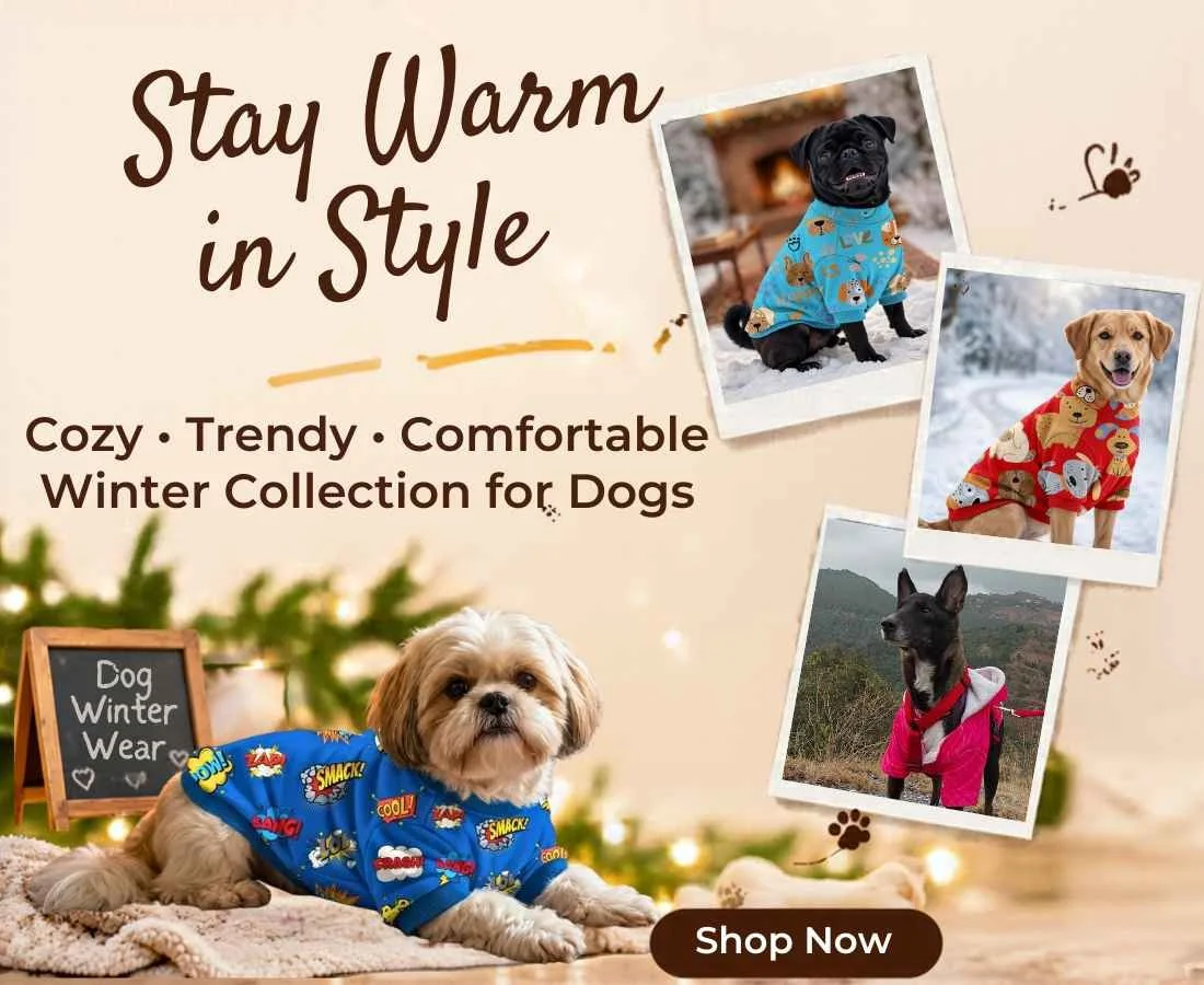 Binkymart winter collection
